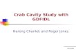 Crab Cavity Study with GDFIDL