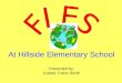 At Hillside Elementary School Presented by: Colette Tutino Smith