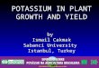 POTASSIUM IN  PLANT GROWTH AND YIELD by  Ismail Cakmak Sabanci University  Istanbul, Turkey