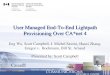 User Managed End-To-End Lightpath Provisioning Over CA*net 4