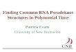 Finding Common RNA Pseudoknot Structures in Polynomial Time