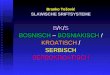 Branko To šović SLAWISCHE  SRIFT SYSTEME B / K / S BOSNISCH  –  BOSNIAKISCH  / KROATISCH
