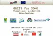GRISI for SOHO  Thématique: e-identité Bilan d’activités