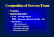 Neuron : Supporting cells  : CNS : neuroglia (glia) PNS : Schwann cells and satellite cells