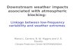 Marco L. Carrera, R. W. Higgins and V. E. Kousky Climate Prediction Center NCEP/NWS/NOAA