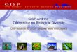 GiSP and the  Convention on Biological Diversity ________________________________________