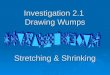 Investigation 2.1  Drawing Wumps Stretching & Shrinking