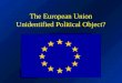 The European Union Unidentified Political Object?