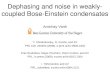 Dephasing and noise in weakly-coupled Bose-Einstein condensates Amichay Vardi