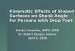 Kinematic Effects of Sloped Surfaces on Shank Angle for Persons with Drop Foot