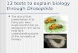 13 tests to explain biology through  Drosophila