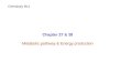 Chapter 27 & 28 Metabolic pathway & Energy production