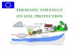 THEMATIC STRATEGY ON SOIL PROTECTION
