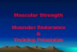 Muscular Strength Muscular Endurance & Training Principles