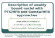 Description of weakly bound nuclei with PTG/HFB and Gamow/HFB approaches