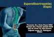 Espondiloartropatías (Espa)