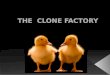 THE  CLONE FACTORY