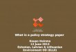 What is a policy strategy paper  Kaupo Heinma 13  June  2013