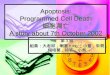 Apoptosis: Programmed Cell Death 細胞凋亡 A story about 7th October 2002