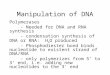 Manipulation of DNA