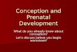 Conception and Prenatal Development