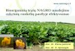 Bioorganinių trąšų  NAGRO  naudojimo cukrinių runkelių pasėlyje efektyvumas