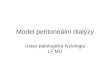Model peritoneální dialýzy