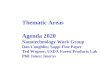 Thematic Areas Agenda 2020 Nanotechnology Work Group Dan Coughlin; Sappi Fine Paper