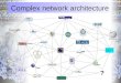 Complex network architecture