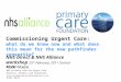 Rick Stern  NHS Alliance Lead for Urgent Care Director, Primary Care Foundation ,