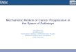 Mechanistic Models of Cancer Progression in the Space of Pathways