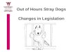 Out of Hours Stray Dogs Changes in Legislation