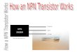 How an NPN Transistor Works