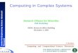 Computing in Complex Systems