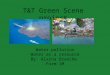 T&T Green Scene project