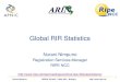 Global RIR Statistics