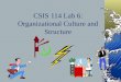 CSIS 114 Lab 6: Organizational Culture and Structure