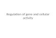 Regulation of gene  and cellular activity