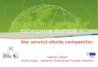 Noi servicii oferite companiilor Gabriel Vladut Ro4Europe – partener Enterprise Europe Network