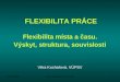 FLEXIBILITA PRÁCE Flexibilita místa a času.  Výskyt, struktura, souvislosti
