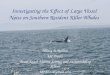 Investigating the Effect of Large Vessel Noise on Southern Resident Killer Whales