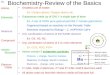 Biochemistry-Review of the Basics
