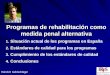 Programas de rehabilitación como medida penal alternativa