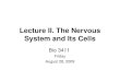 Lecture II. The Nervous System and Its Cells