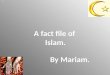 A fact file of  Islam