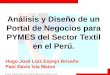 Análisis y Diseño de un Portal de Negocios para PYMES del Sector Textil en el Perú