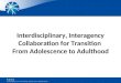 Interdisciplinary, Interagency Collaboration for Transition  From Adolescence to Adulthood