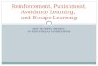 Reinforcement, Punishment, Avoidance Learning,  and Escape Learning