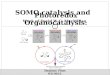 SOMO catalysis and
