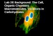Lab 2E Background: The Cell, Organic Chemistry, Macromolecules, Variations in Carbohydrates